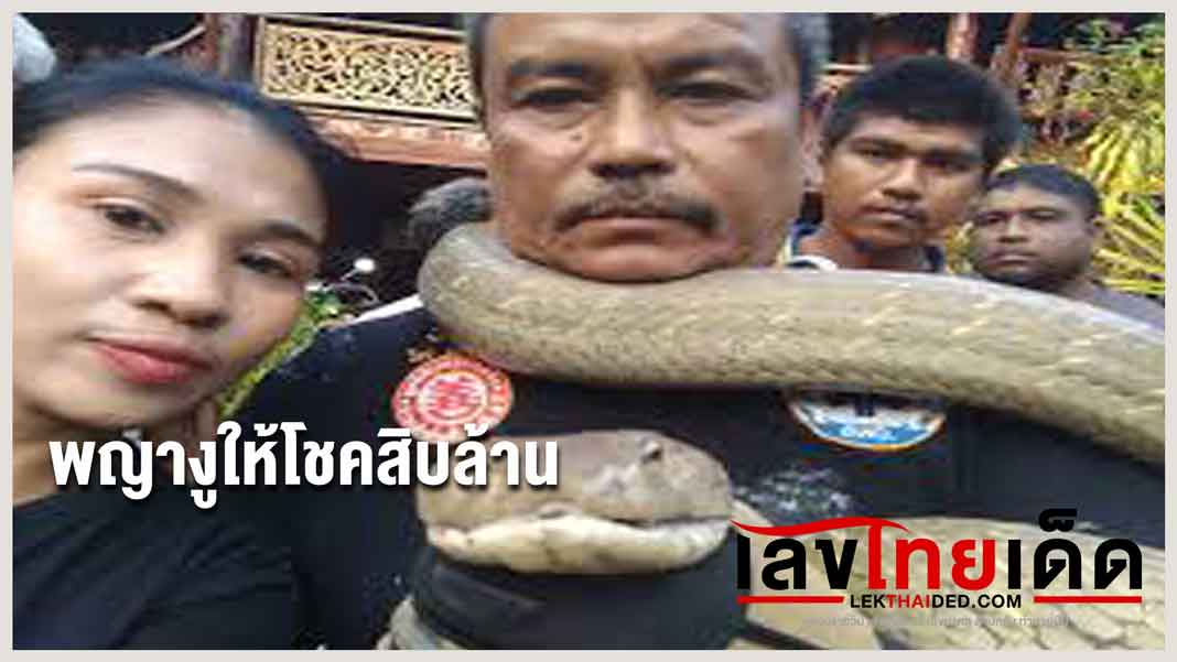 พญางูให้โชคสิบล้าน