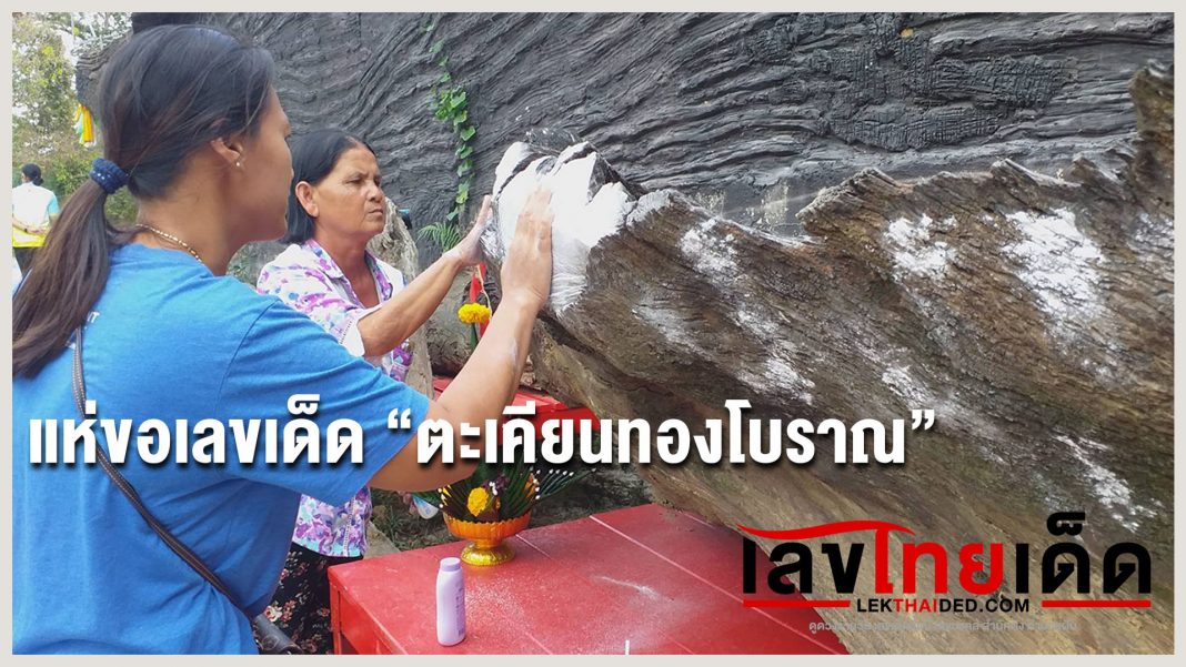 แห่ขอเลขเด็ด ไม้ตะเคียนทองโบราณ