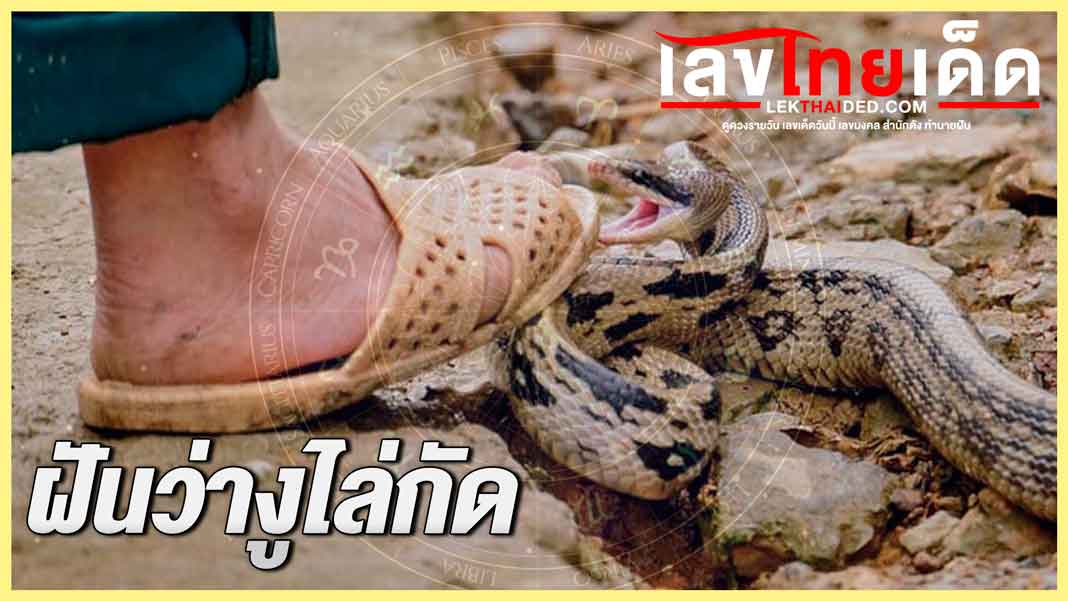 ฝันว่างูไล่กัด