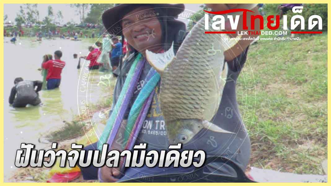 ฝันว่าจับปลามือเดียว
