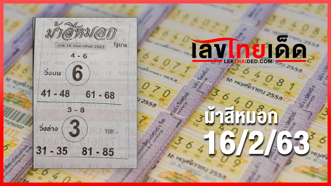 ม้าสีหมอกมาแรง 16/2/63