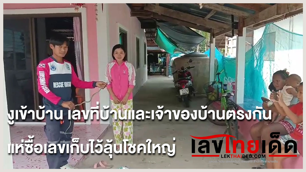 งูเข้าบ้าน เลขที่บ้านและเจ้าของบ้านตรงกัน แห่ซื้อเลขเก็บไว้ลุ้นโชคใหญ่